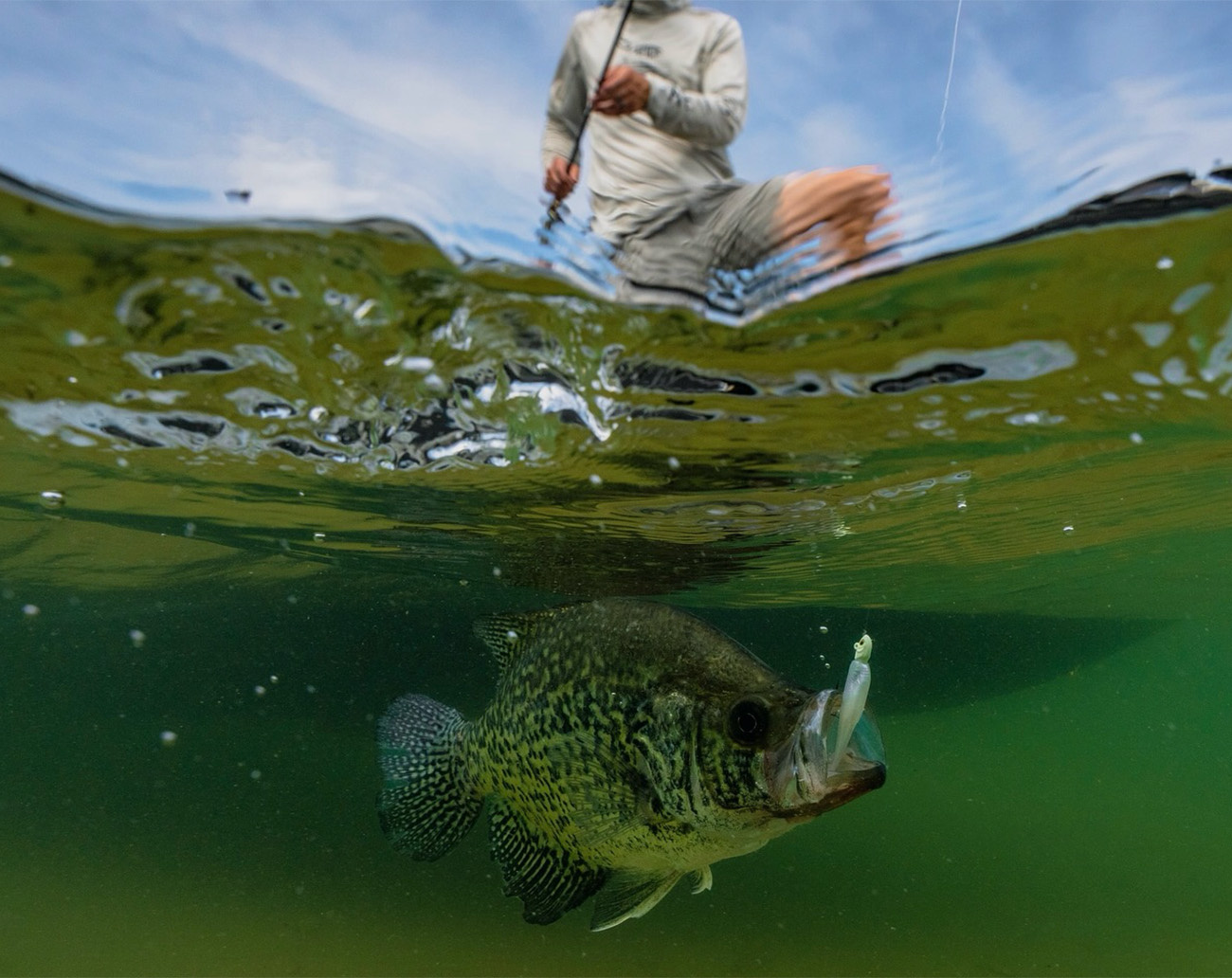 Z-Man Micro Graph ShadZ